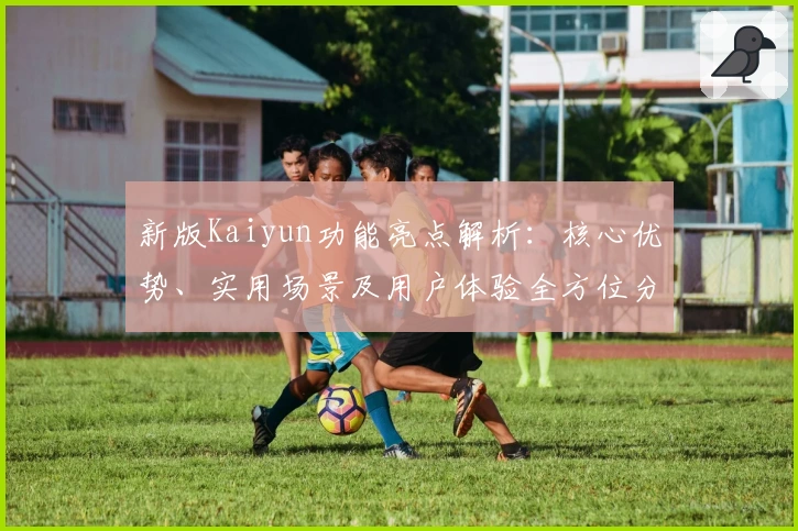 新版Kaiyun功能亮点解析：核心优势、实用场景及用户体验全方位分析