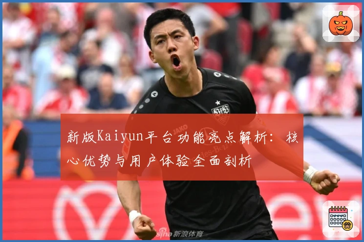 新版Kaiyun平台功能亮点解析：核心优势与用户体验全面剖析